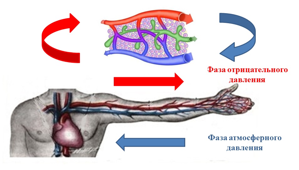 Vacumed ANS Фазы давления 